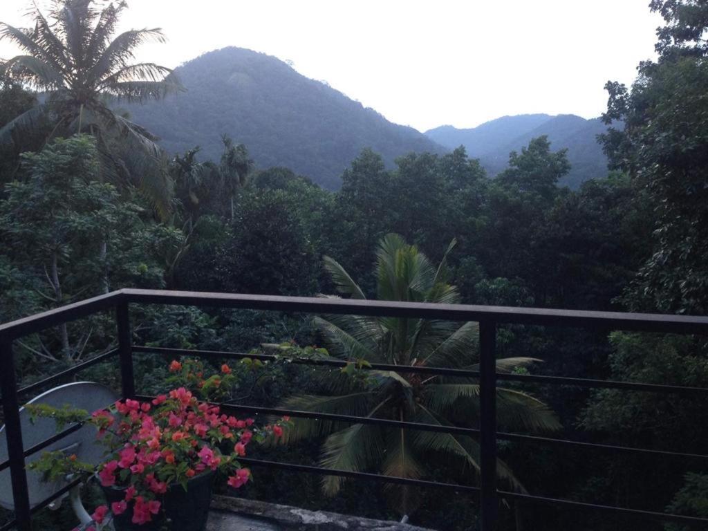 Araliya Home Stay Kandy Exterior foto